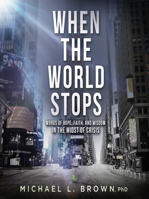 cover image of When the World Stops